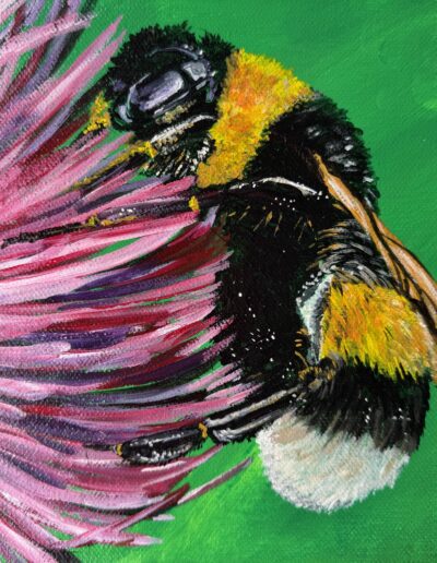 Bumble Bee on pink flower